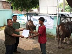 PCNU Jakarta Barat Siap Sembelih dan Distribusikan Daging Qurban